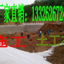 山东土工材料生产厂 专注于土工格栅、玻璃纤维格栅及土工针刺地毯的制造