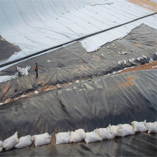 濮阳土工膜及针刺地毯服务介绍