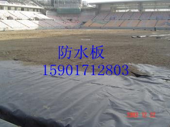 针刺地毯 匠心工艺与现代科技的完美结合